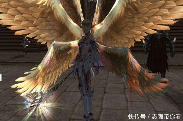 斗罗大陆|斗罗大陆:被遗忘的五大武魂,个个都不弱于昊天锤