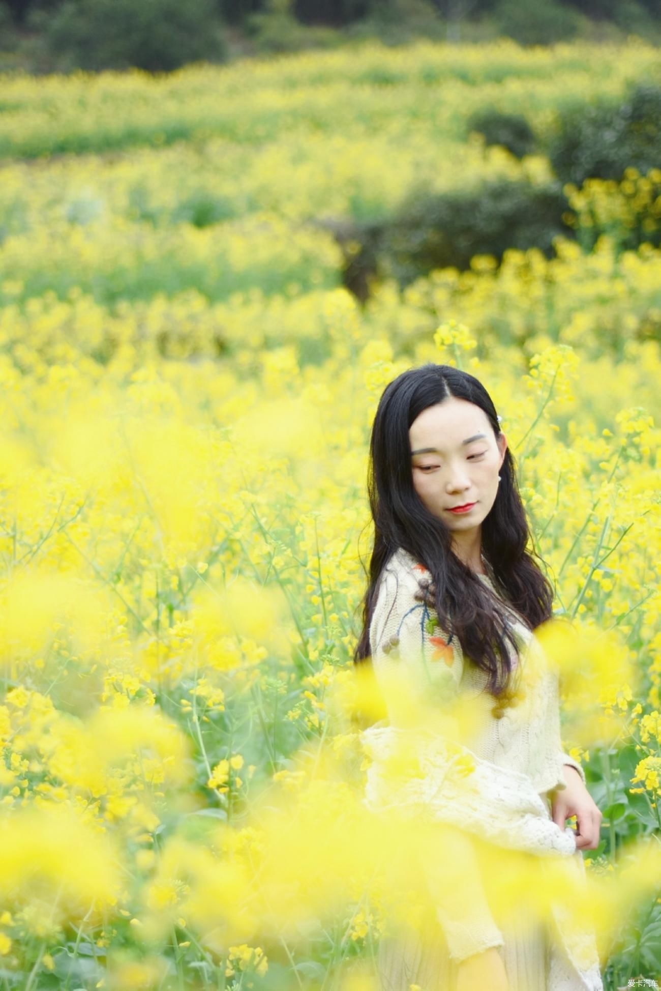 婺源|【春到婺源】记得住乡愁，江岭上开遍油菜花。