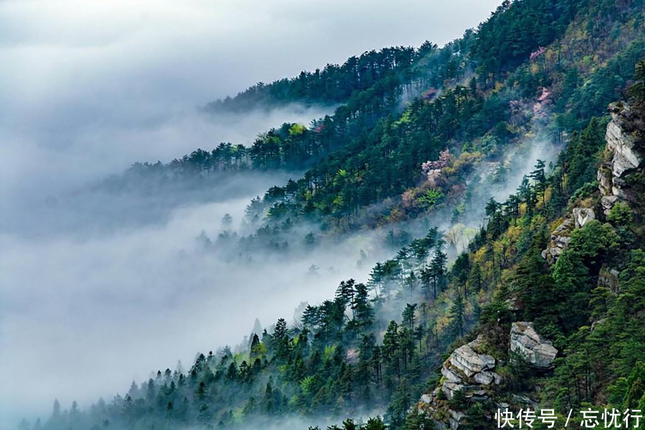 庐山|庐山谷深壑幽的峡谷，峰岭秀山奇石怪异，这里的美景确实值得一游