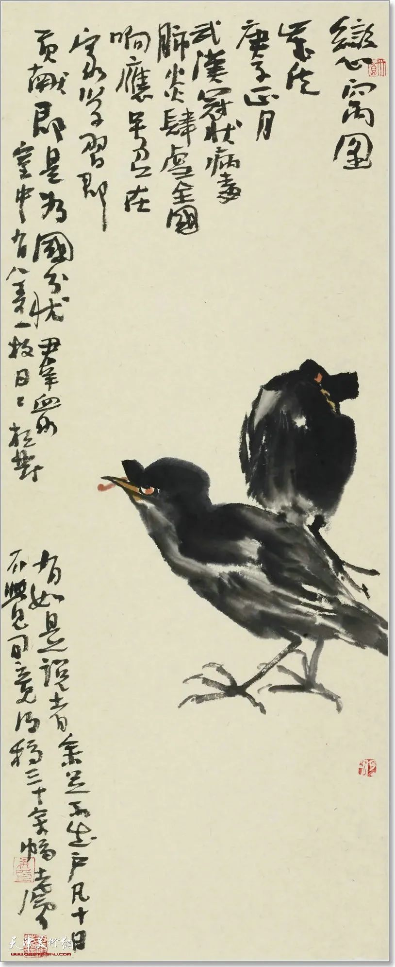 33cm|尹沧海教授八哥作品欣赏:融历代名家的绘画语言于一体