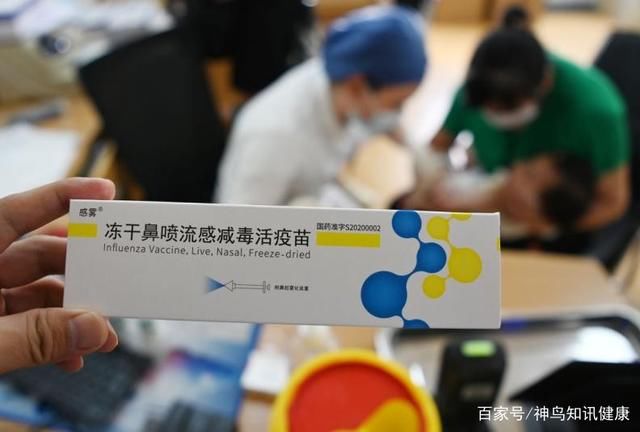 新冠|鼻喷式新冠疫苗即将问世，接种后24小时起效，7天就产生保护抗体