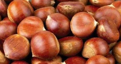 才清楚,板栗壳上藏着小机关,皮一剥就掉,一分钟就能剥一大碗