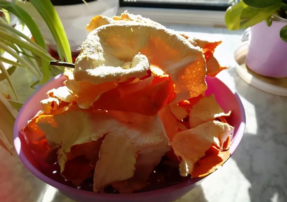 桔子皮是个宝,养花离不了,泡一泡做肥料,香味大酸性足,养花棒