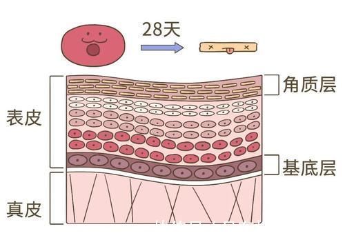 真相|洗澡要不要搓泥？多久洗一次澡？一文读懂洗澡的真相