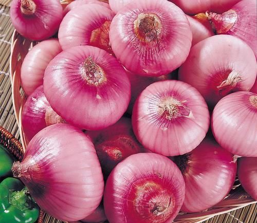 冬天|女性冬天常吃3种食物,美容养颜,增强免疫力,爱吃就赚到