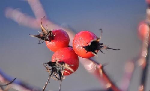 葡萄糖|这6物是天然“二甲双胍”，没事换着吃，有助于血糖慢慢降低
