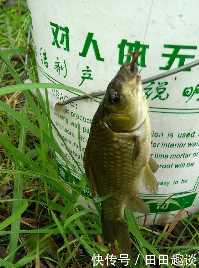 野钓小技巧浮漂做一个小改动,惊鱼几率大降