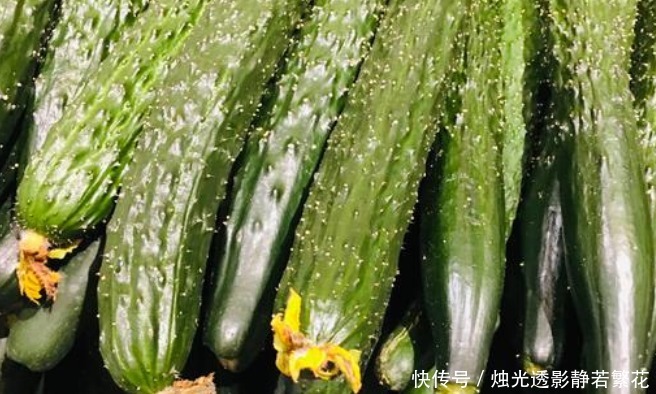 3种黄瓜不要买 都是打激素的 一看就能辨别 无论多便宜都不要 全网搜