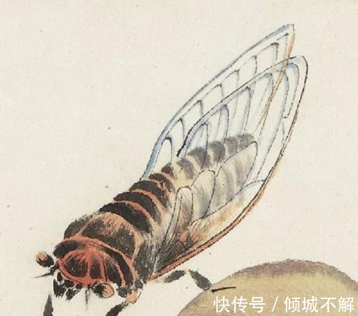 蝉!齐白石画了一只“蝉”,凭啥能卖到8亿放大30倍后发现端倪!