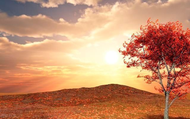 为人处世|《菜根谭》精华10句,教你为人处世,领悟人生高境界