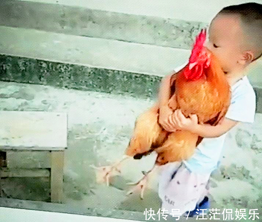 婆婆家|4岁女儿自己带,3岁儿子奶奶带,俩月后爸妈笑喷儿子呢