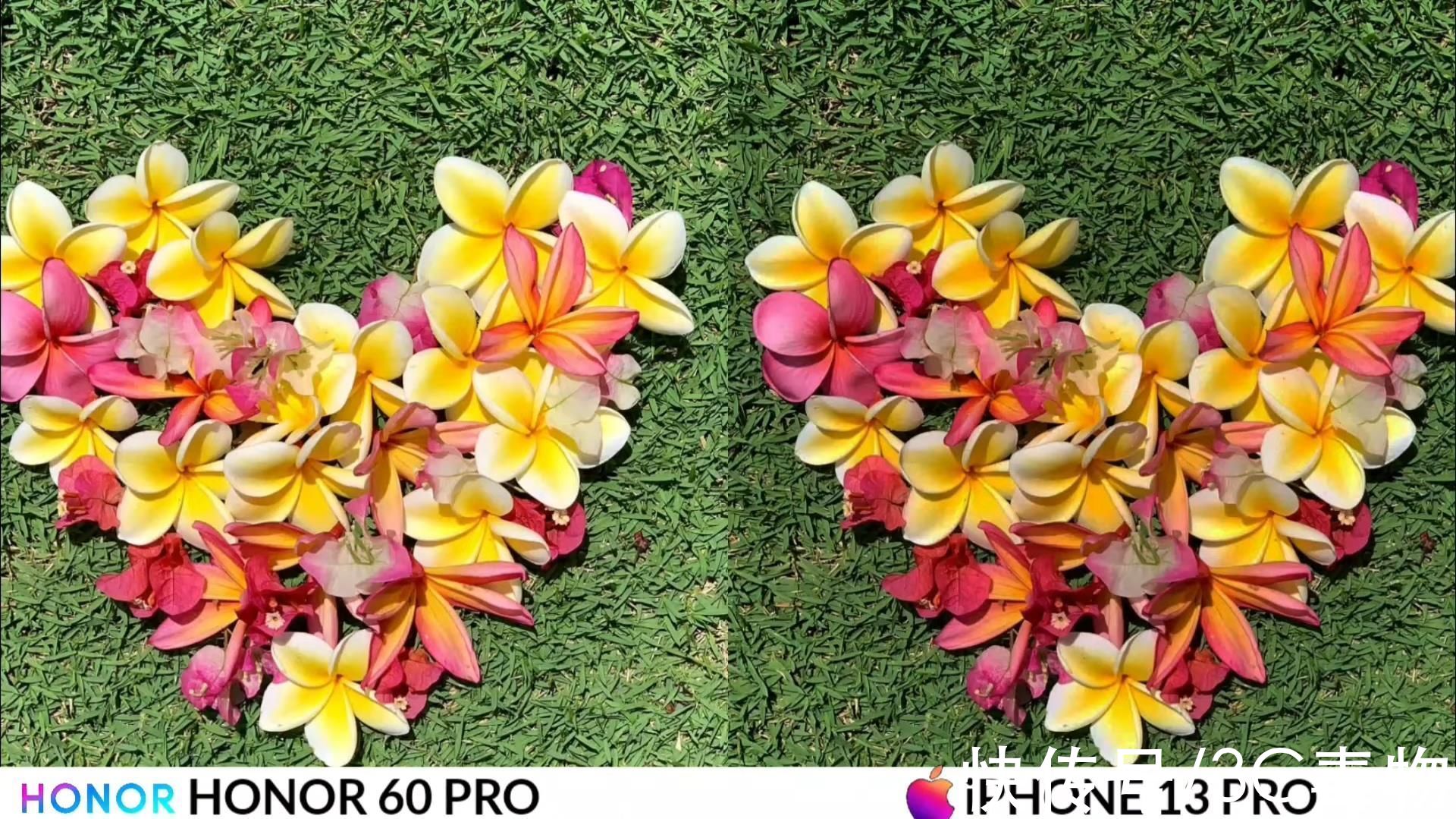 拍照|荣耀60Pro和iPhone13ProMax拍照对比：差距之大让人没有想到