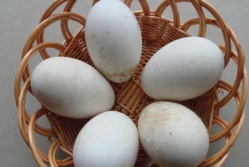 卵黄磷蛋白|想长寿要先会吃，8月处暑养生三种食物离不开，排毒养颜显年轻