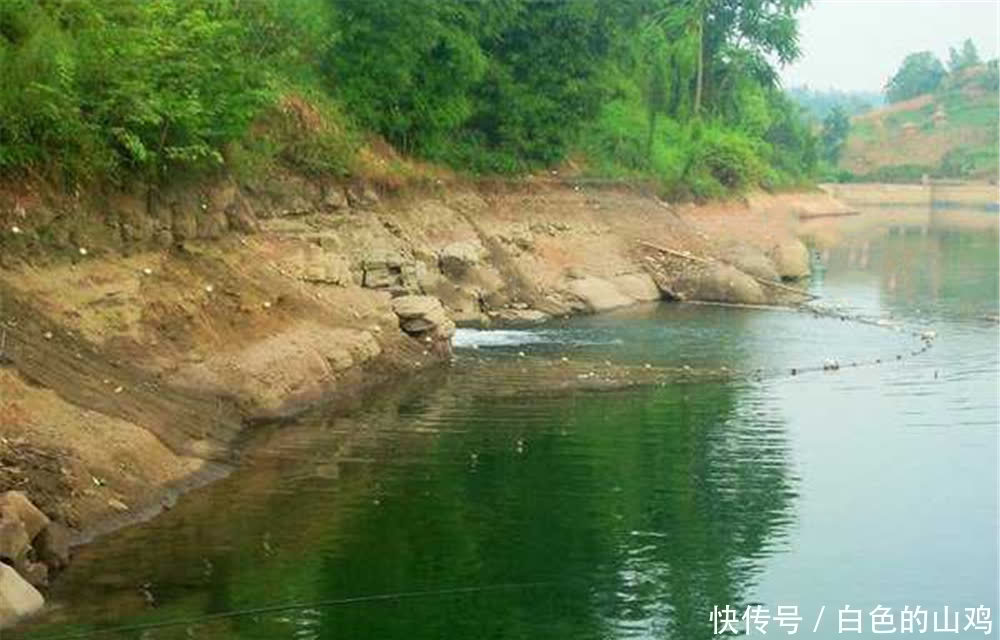 靠谱|夏季钓鱼,钓点一定选深水吗?这些位置钓浅也上鱼,比深水还靠谱