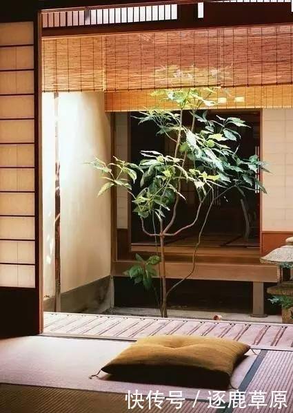 熟悉|这十句最熟悉的古诗词,记住了就是一辈子