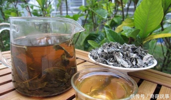 莓茶|每天喝一点它, 炎症消失, 跟咽炎说再见, 也是天然的青霉素