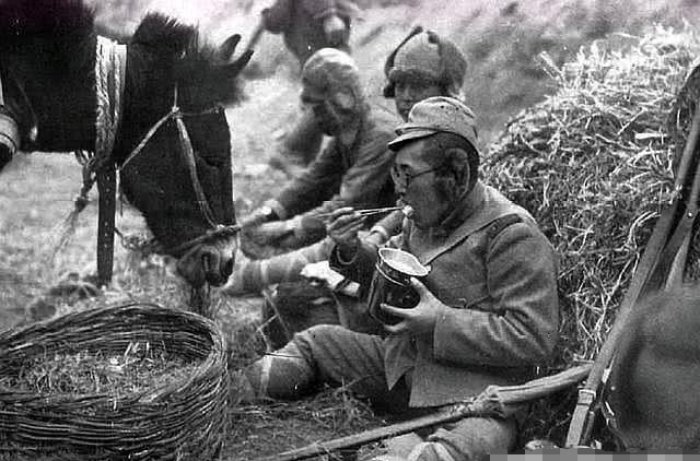 士兵|二战时日军吃的是“牛肉罐头”，为何士兵却说伙食连猪食都不如？真相揭秘