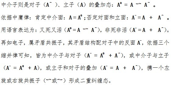 粒子的符号|解读篇：大一统方程的三阶解（下）