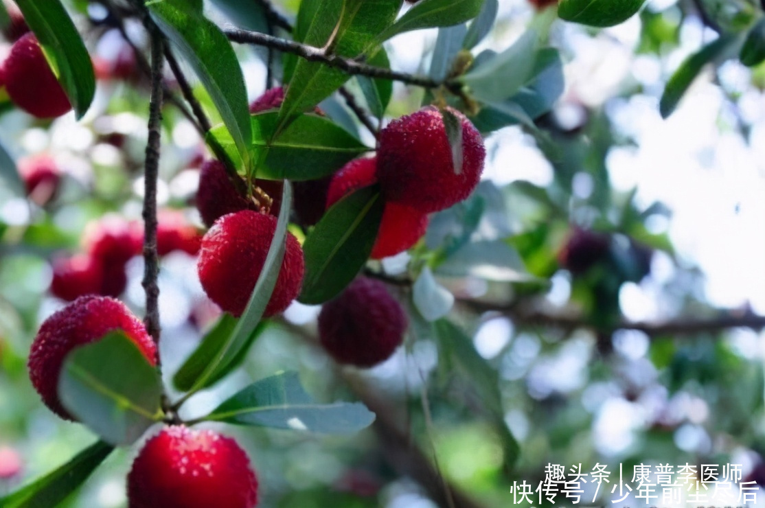  改善|推荐女性常吃的食物，改善视力，缓解疲劳，让人健康有活力