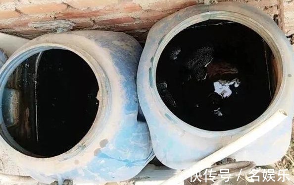 栀子茉莉花喝点“酸水”,叶片翠绿、开花洁白,不黄叶