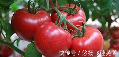 饭店很少洗的五种蔬菜,在饭店待过的厨师,大多数都知道!