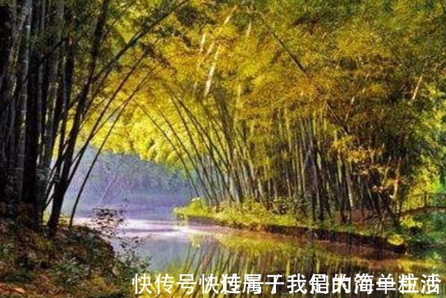 清幽|苏州城郊一处秘境湿地公园，环境清幽风景宜人，知道的人却不多