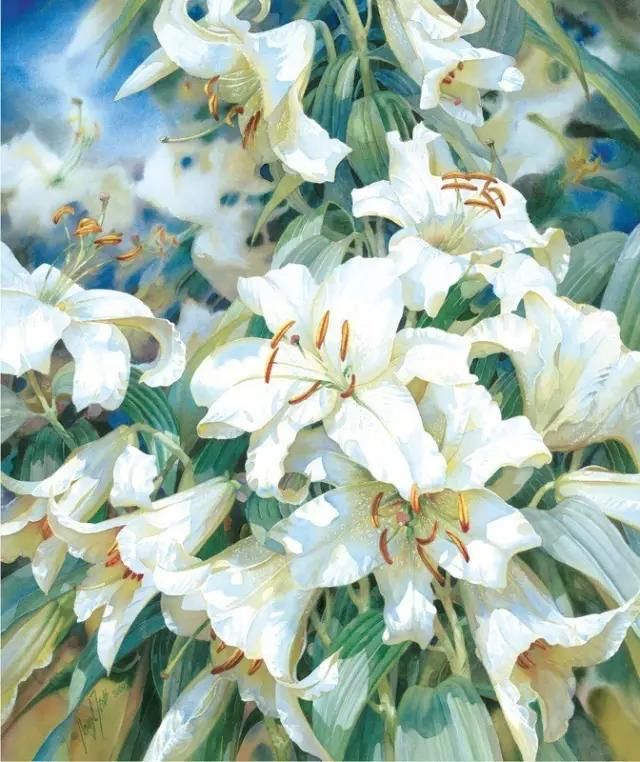 水彩&水彩画欣赏：澳大利亚水彩画家30张水彩花卉，动人