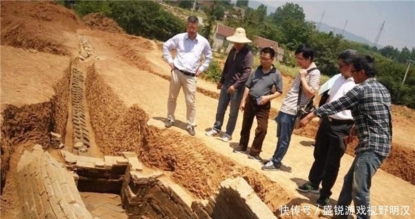 专家|农村一老汉猪圈频繁丢猪,无奈报警,专家赶到后却乐开了花