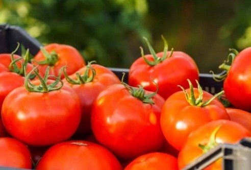 保健|女人坚持吃以下四种食物，美容养生，延缓衰老，更能保护身体健康