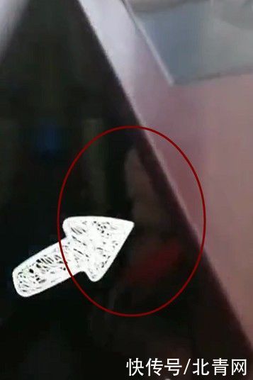 笑岔气！青岛67岁老人玩捉迷藏，披上花棉袄飞檐走壁！最后藏到了这里…