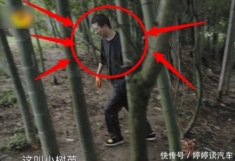 节目|《向往5》最懒嘉宾又来了,在节目种树种到“吐”,脾气都上来了