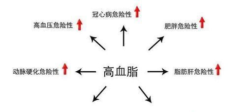  血脂|血脂高的人，眼睛可能有3个异常，若没有，说明血脂控制的还不错