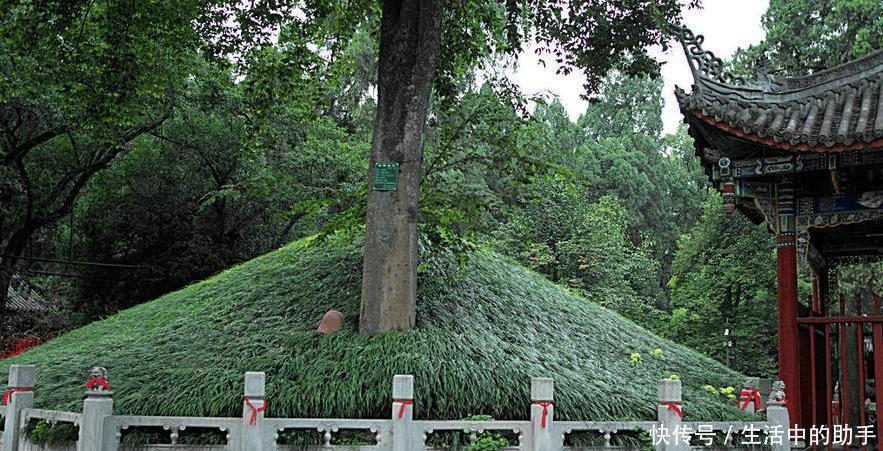 无人|诸葛亮死了2千年, 为啥无人盗他的墓 是因为坟前两棵树!