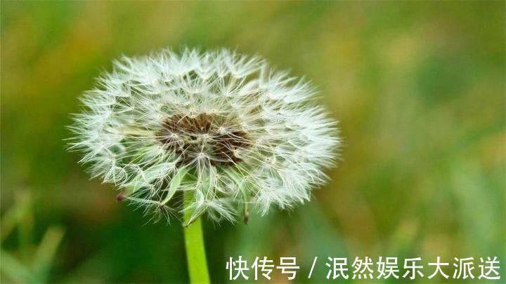 人生$写好一个“人”,只需两笔;做好一个人,却要一生