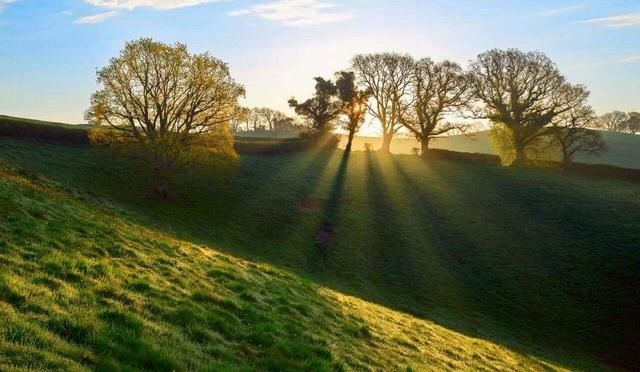 清晨3要,晚上4不要,这个必须知道