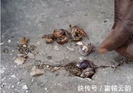 钓鱼|男子海边钓鱼发现奇怪水瓶，打开细看后，大开眼界