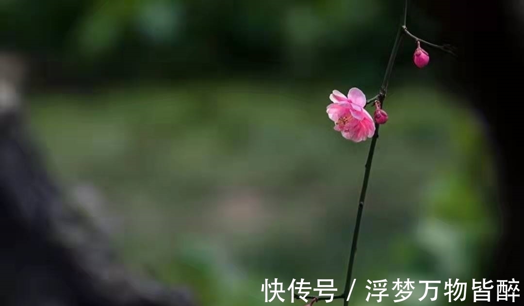 佳句#孟浩然在失意中写下一首诗,风格凄凉而佳句频出,有多少人读过?