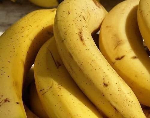 毒素|肠道垃圾多,建议吃3种食物,排出毒素,润肠通便,预防子宫早衰