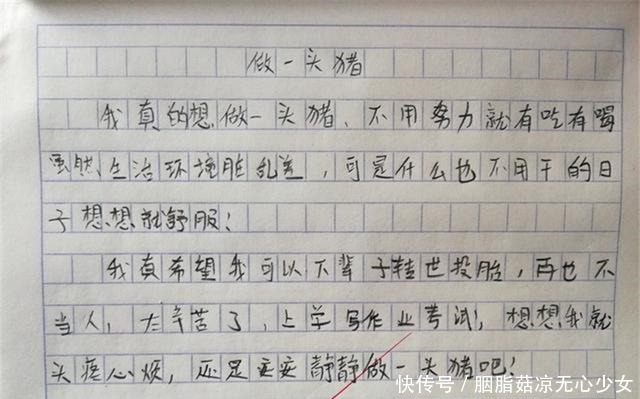 小学生写日记奇思妙想，老师看后大笑被学习耽误的“段子手”