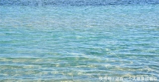 “水至清则无鱼，人至察则无徒”的含义，我们真正弄懂了