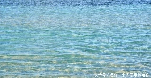 “水至清则无鱼,人至察则无徒”的含义,我们真正弄懂了