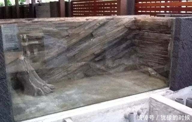 鱼缸和池还可以这样结合?只能说很有想法,有钱我也搞一个!