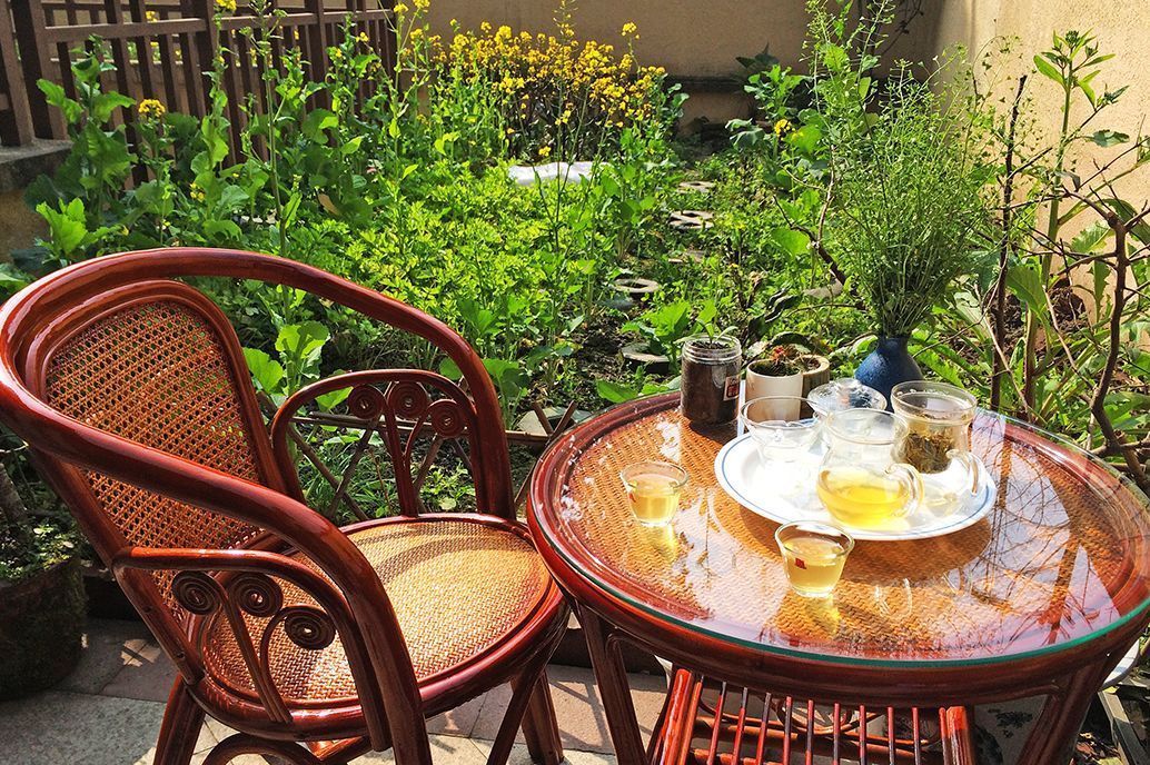 等我们老了,找个院子,清晨养花,傍晚喝茶。