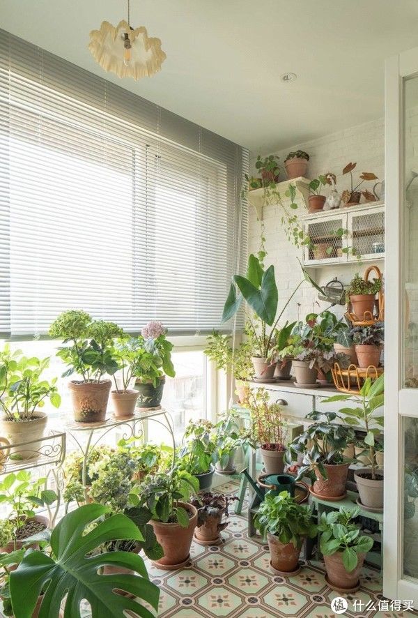 细节处|四川一屋主将绿植与复古融合，打造清新灵动之美，这个氛围感太绝