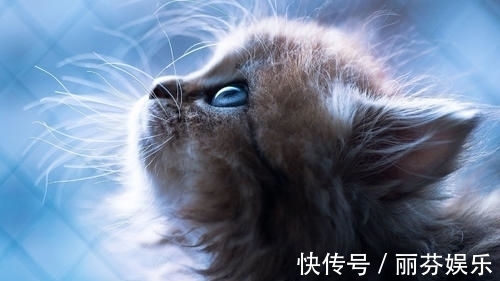 |幽默笑话:和女友恋爱了三年,家庭双方都已经见过面的