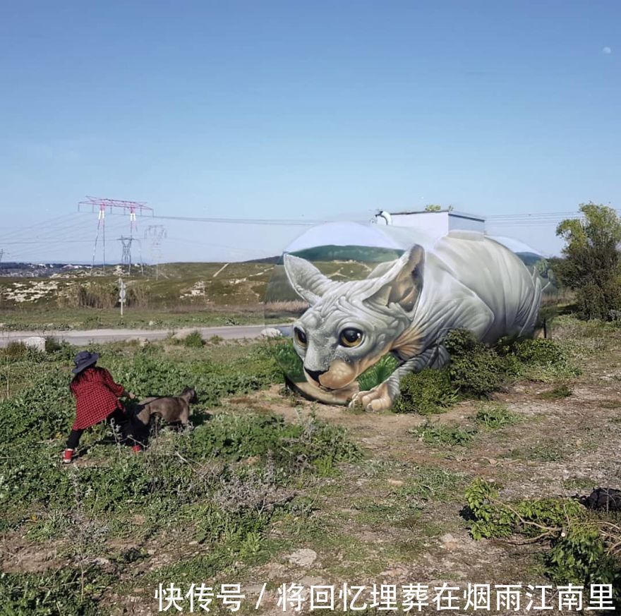 真假|18张令人惊叹的裸眼3D画,一面墙凭空消失,狗都分不清真假一直叫