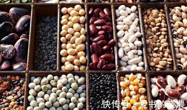 豆类|三伏天出汗多要补钾,这两种豆类钾含量名列前茅,可以多吃!