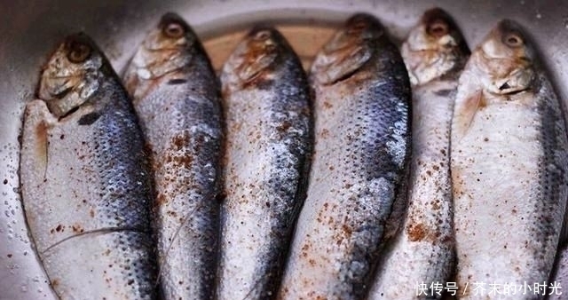 a23|它是被“误解”最多的鱼,一斤只要10元,营养价值不比甲鱼差