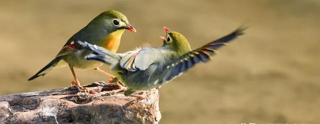 诗词|诗词丨8首佳作,标题仅1个字