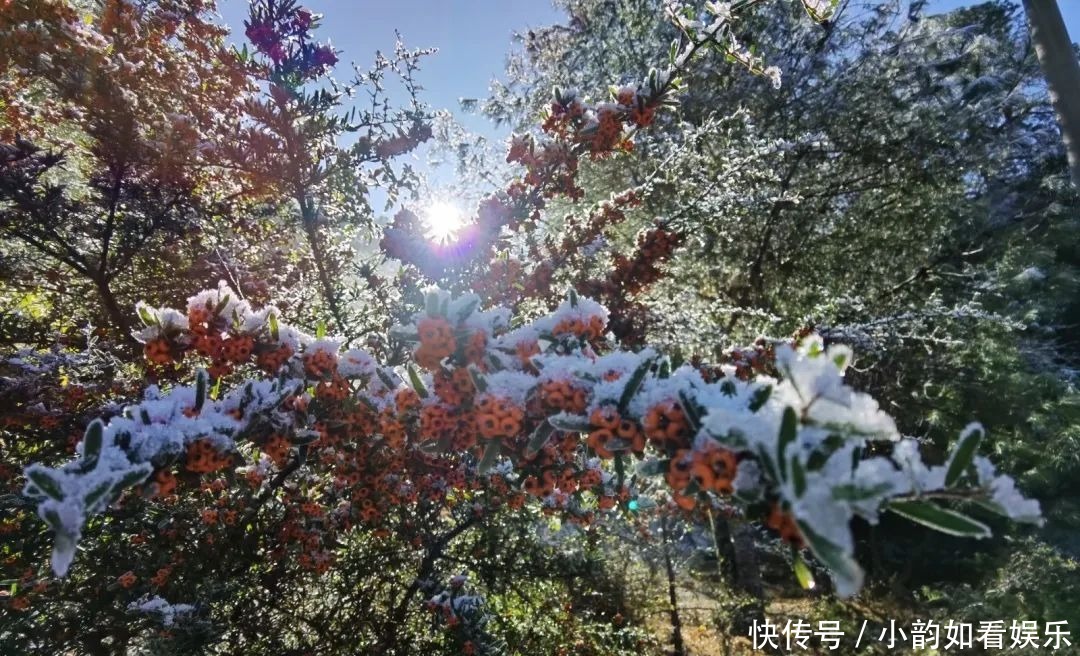 写意天池，童话天子山，一波云龙雪景美图来袭